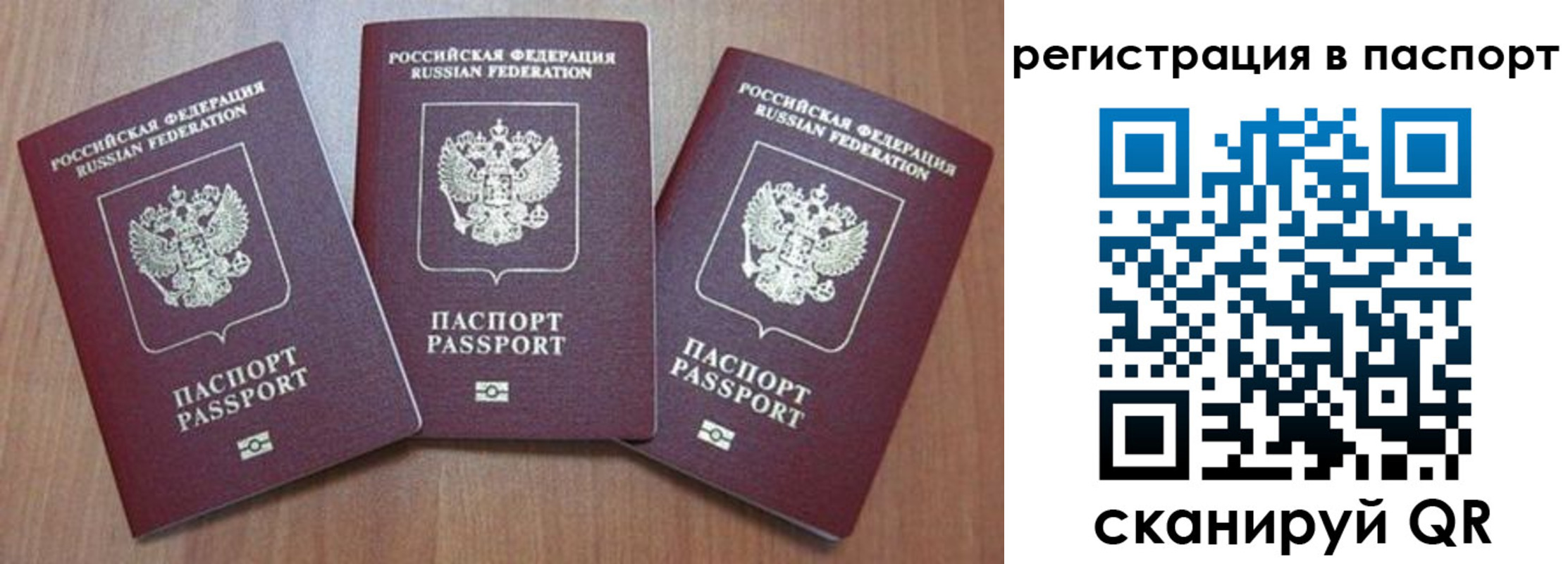 найти адрес прописки в Королёве